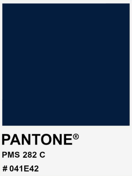 Dark Blue 282 C color swatch